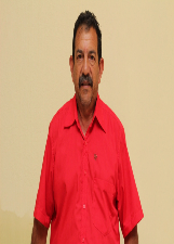 Foto de ARLINDO FERREIRA MACHADO JUNIOR