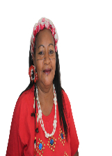 Foto de DJANIRA JOVELINA DINIZ SILVA