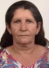 Foto de NELCI SANCHES DA ROCHA