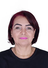 Foto de VERA LUCIA DE SOUZA FEDESZEN