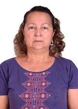 Foto de VERA LUCIA DE PAULA FERREIRA
