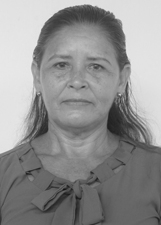 Foto de DULCIMAR SEREJO PINTO GOMES