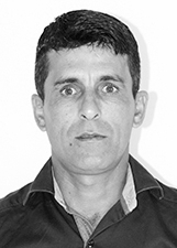 Foto de VILMAR MARINS SILVA