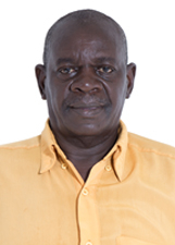 Foto de MÁRIO MARQUES DE OLIVEIRA