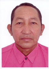 Foto de SEBASTIAO LUIS DA SILVA MENDES