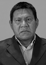Foto de BEPO KAYAPO