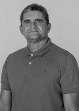 Foto de NESTOR ALVES DOS SANTOS