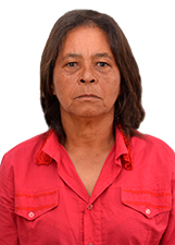 Foto de MARLENE FATIMA DOS SANTOS