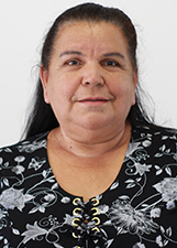 Foto de CLEONICE APARECIDA DOS SANTOS SILVA