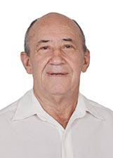 Foto de IRANI DOMINGUES CARVALHO