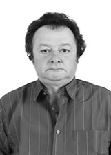 Foto de OLIVO PAULINHO BAIOCCO