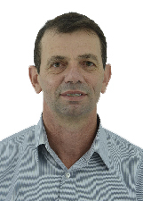 Foto de GERSON PALAVICINI