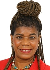Foto de ANA IRES LIMA DOS SANTOS