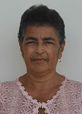 Foto de LUZINEIDE RODRIGUES DA SILVA