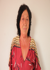 Foto de VERA LUCIA GUIMARAES LEITE