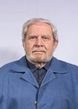 Foto de NELSON NORBERTO DE SOUZA VIEIRA SOBRINHO