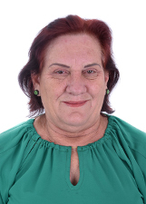 Foto de LEDA APARECIDA DA VIRGILI DA SILVA