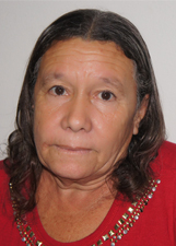 Foto de VERA LUCIA RODRIGUES BOTELHO