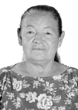 Foto de MARIA EDITE DA ROCHA MACHADO