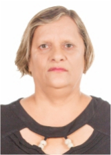 Foto de SILVIA APARECIDA DE OLIVEIRA DRUDI