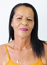 Foto de VERA LUCIA PEREIRA PESSAN
