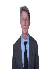 Foto de DJANIRO GAUDIOSO