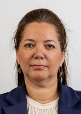 Foto de SIRLEI APARECIDA DE OLIVEIRA BUBNOFF