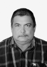 Foto de NILTON DA SILVA CAMARGO