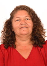 Foto de VILMA PAULINO DOS SANTOS
