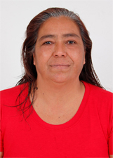 Foto de LISANGELA BORGES DE CAMPOS