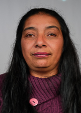 Foto de ZORAIDE APARECIDA DOS SANTOS DE ABREU
