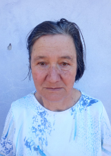 Foto de NELSI WILSMANN DOS SANTOS