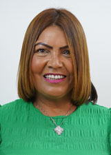 Foto de ROSELI APARECIDA DE MORAES SILVA VIEIRA