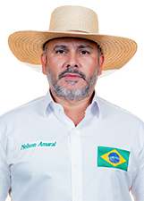 Foto de NELSON AMARAL DA SILVA
