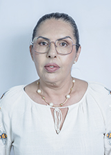 Foto de Sandra Cristina Ribeiro Schitkoski