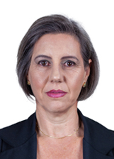 Foto de VIVIANE SCHMIDT SILVEIRA